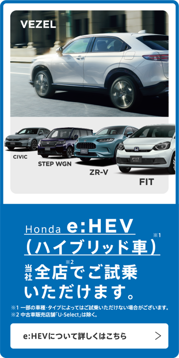 store6