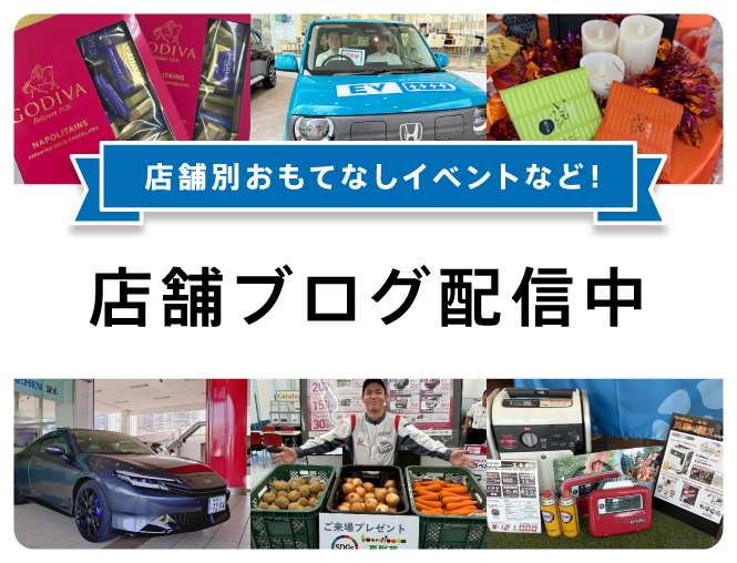 store12