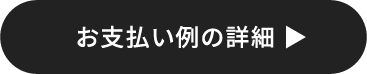 お支払い例の詳細