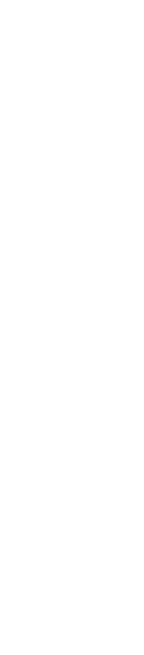 ボディーサイズにとらわれない存在感。強く、逞しく、威風堂々としたスタイルでオーナーの誇りとなることを目指しました。