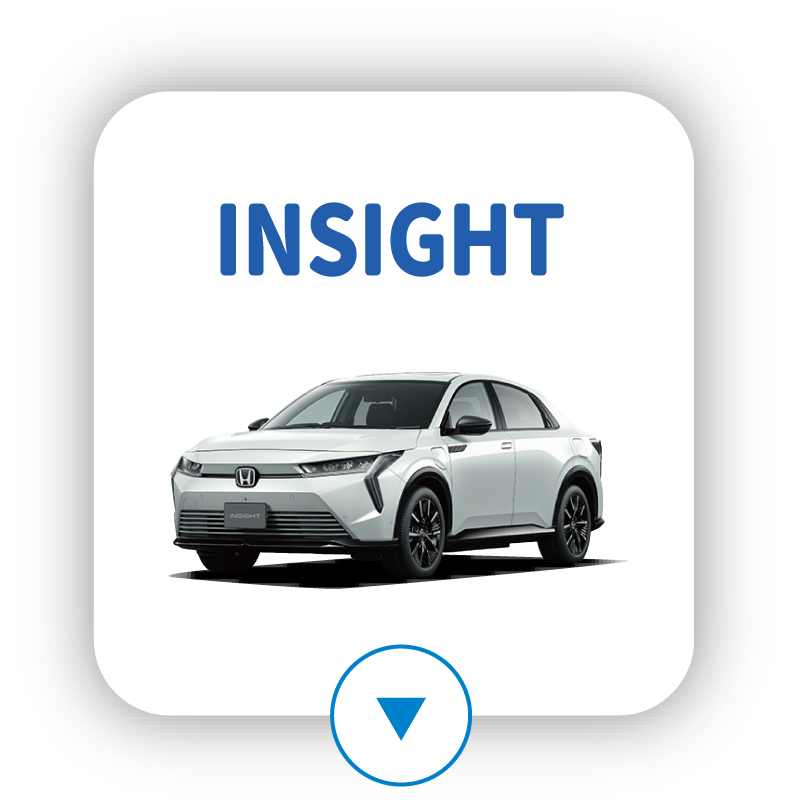 INSIGHT