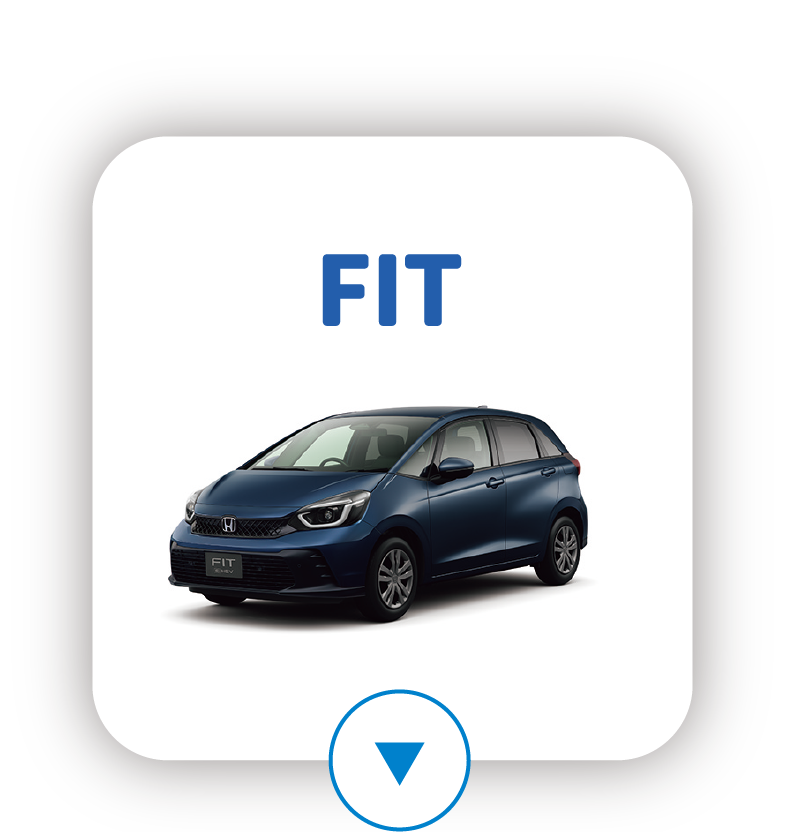 FIT