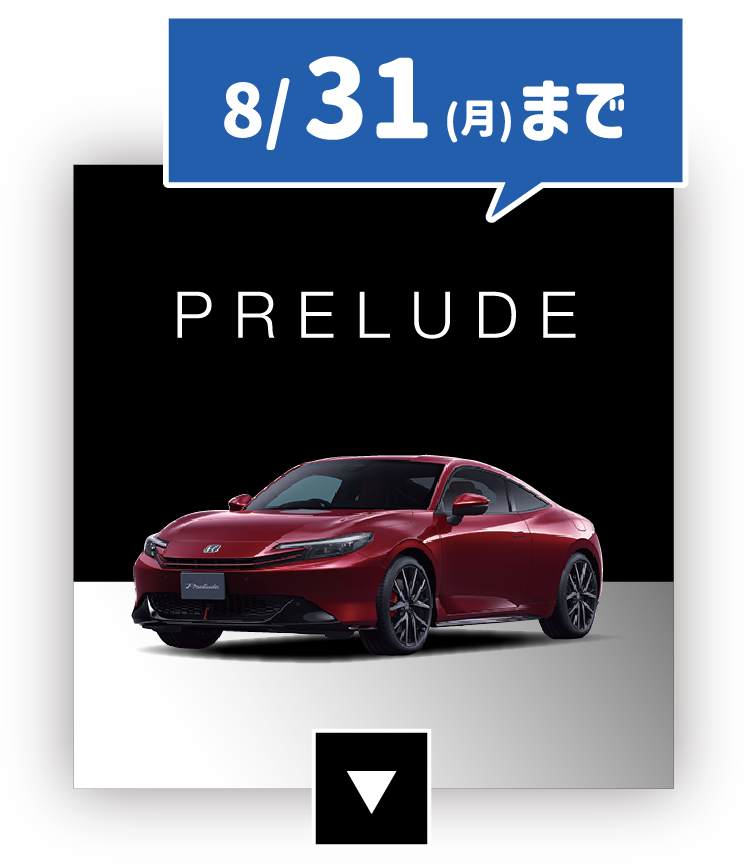  8/31（月）まで