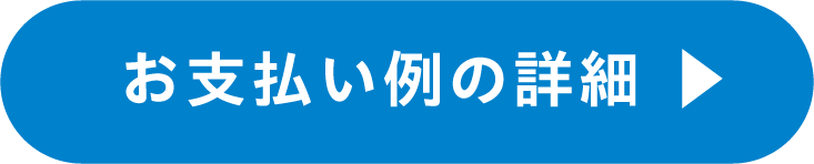 お支払い例の詳細