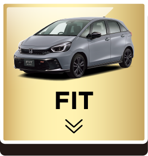 FIT