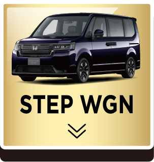 STEP WGN
