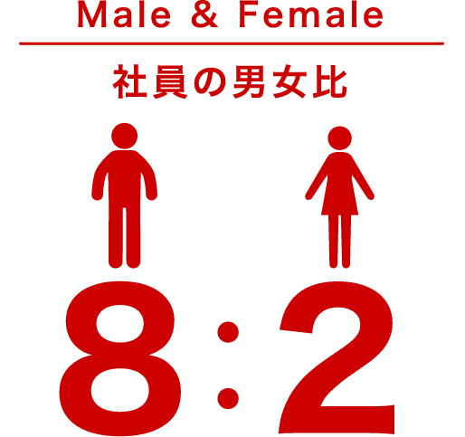 社員の男女比 8:2