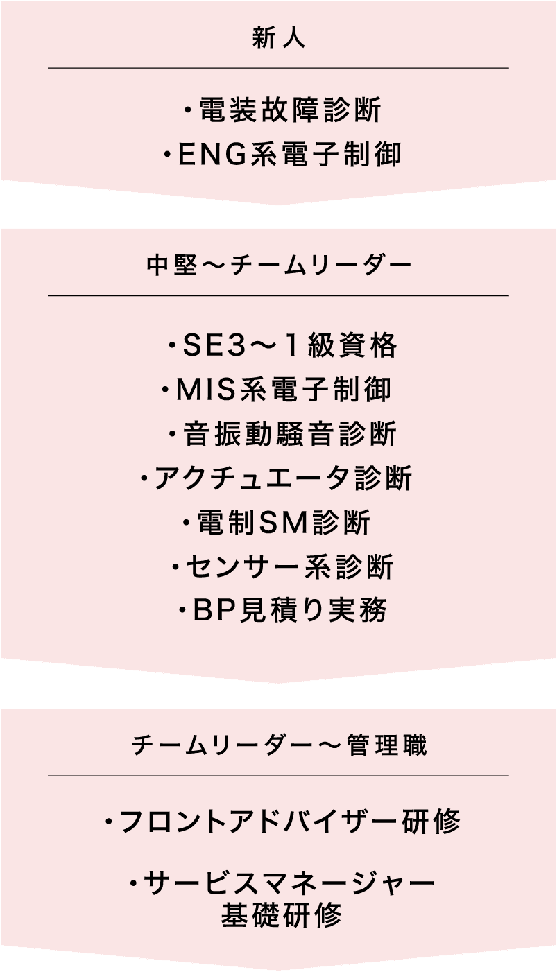 新人から管理職までの研修の流れ