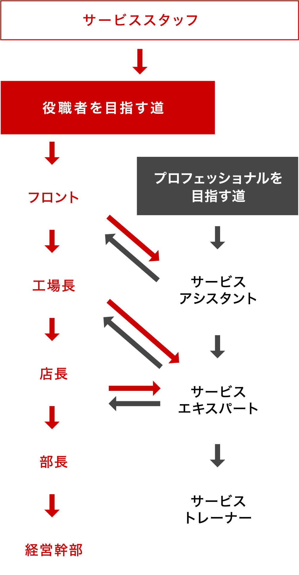 新人から管理職までの研修の流れ