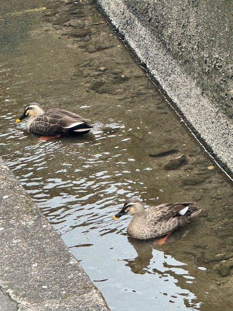 工場の裏には・・・