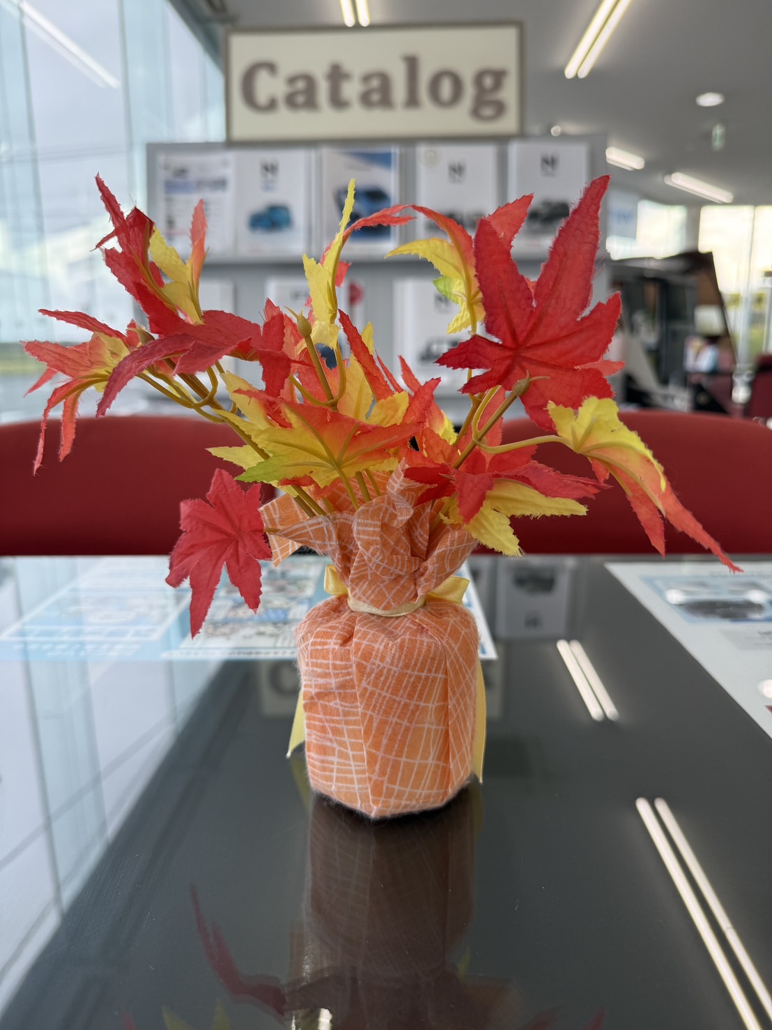 ただいま、秋を捜索中です♪