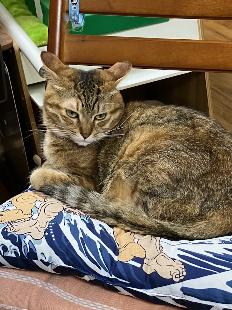 明日から11月ですね！