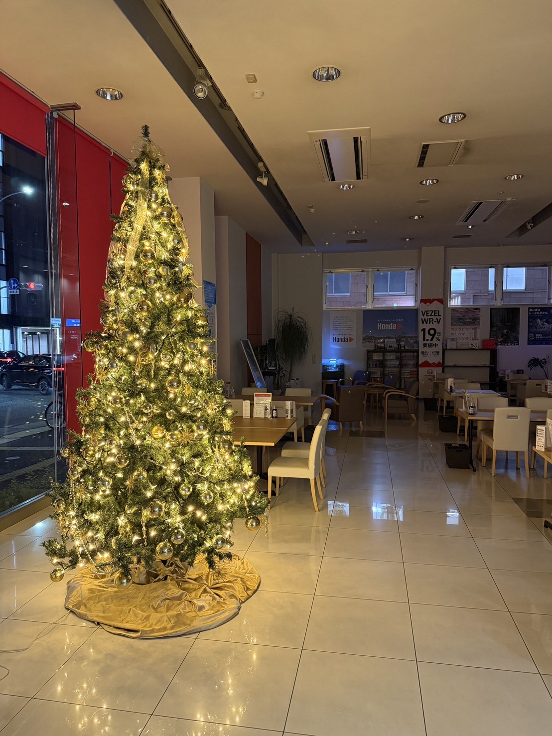 🎄クリスマスツリー登場🎄