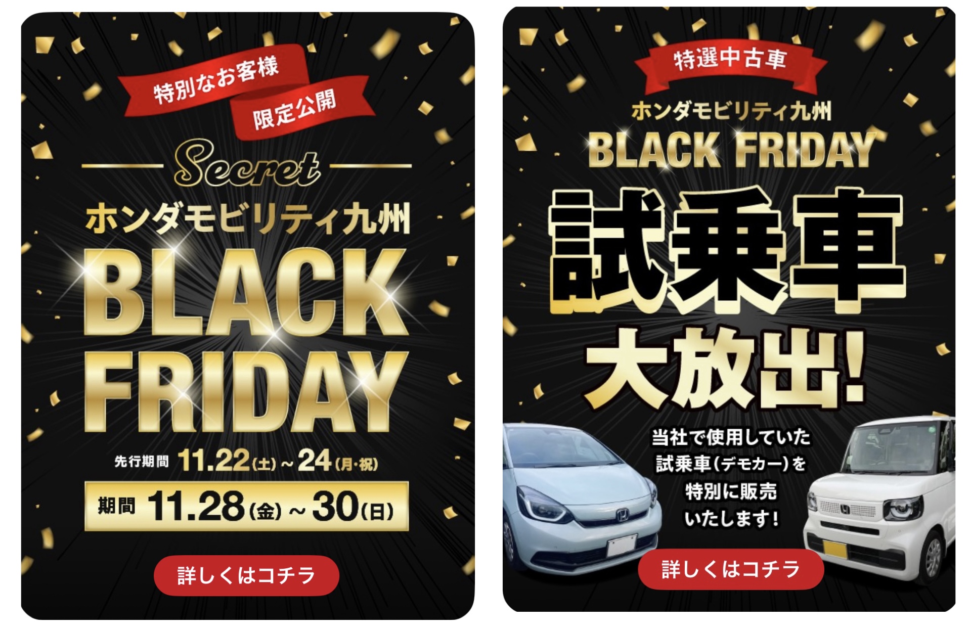 ブラックフライデー🐦‍⬛