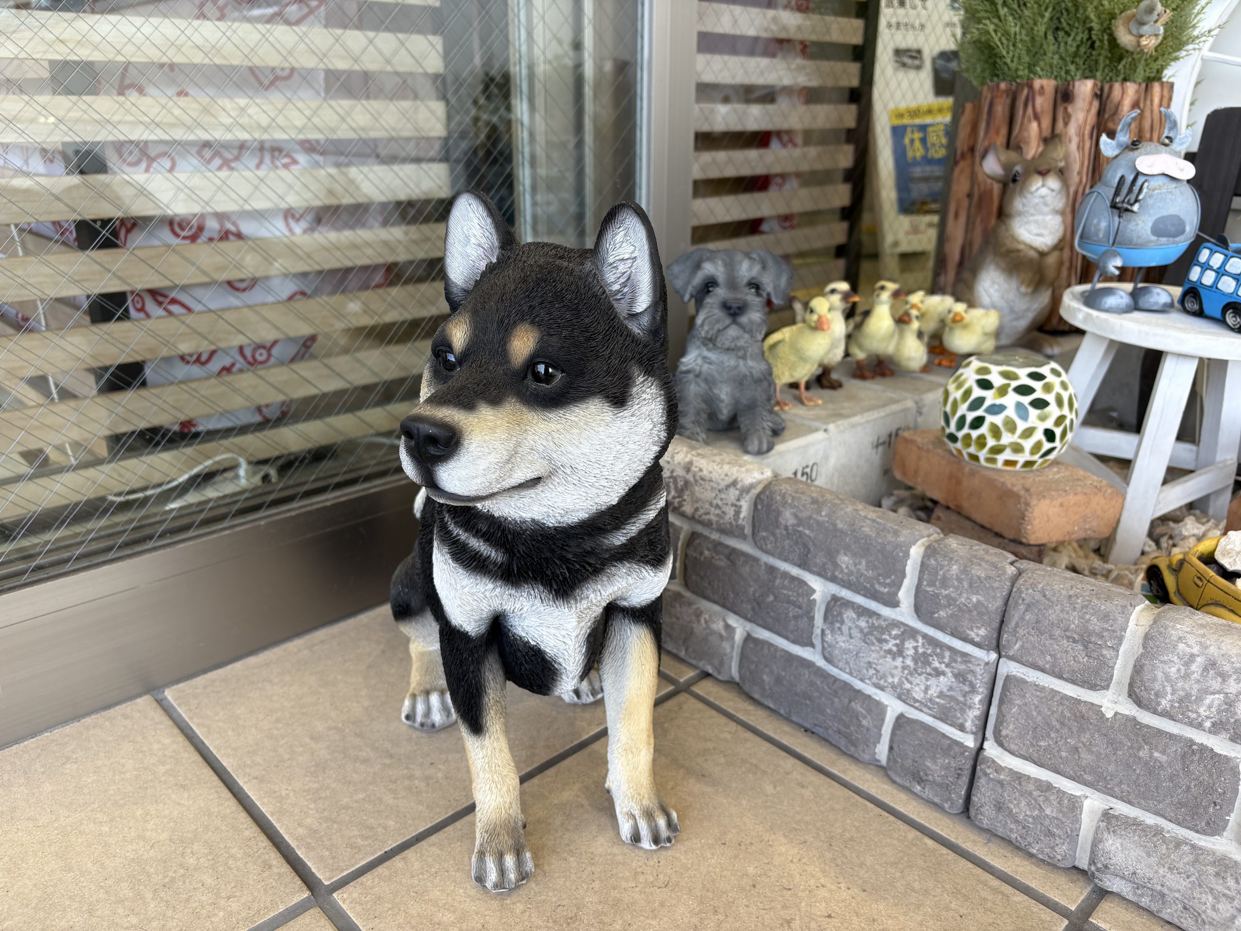 本物？！🐶🐱