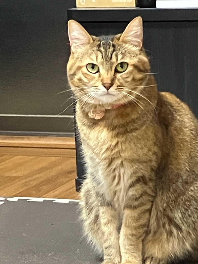 12月に入り在庫も増えましたよ！！