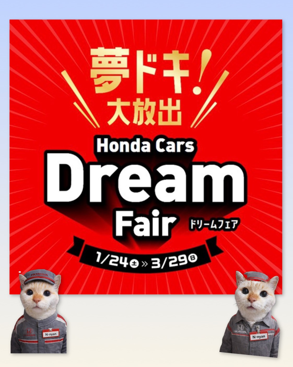 Dream Fair開催中🎉