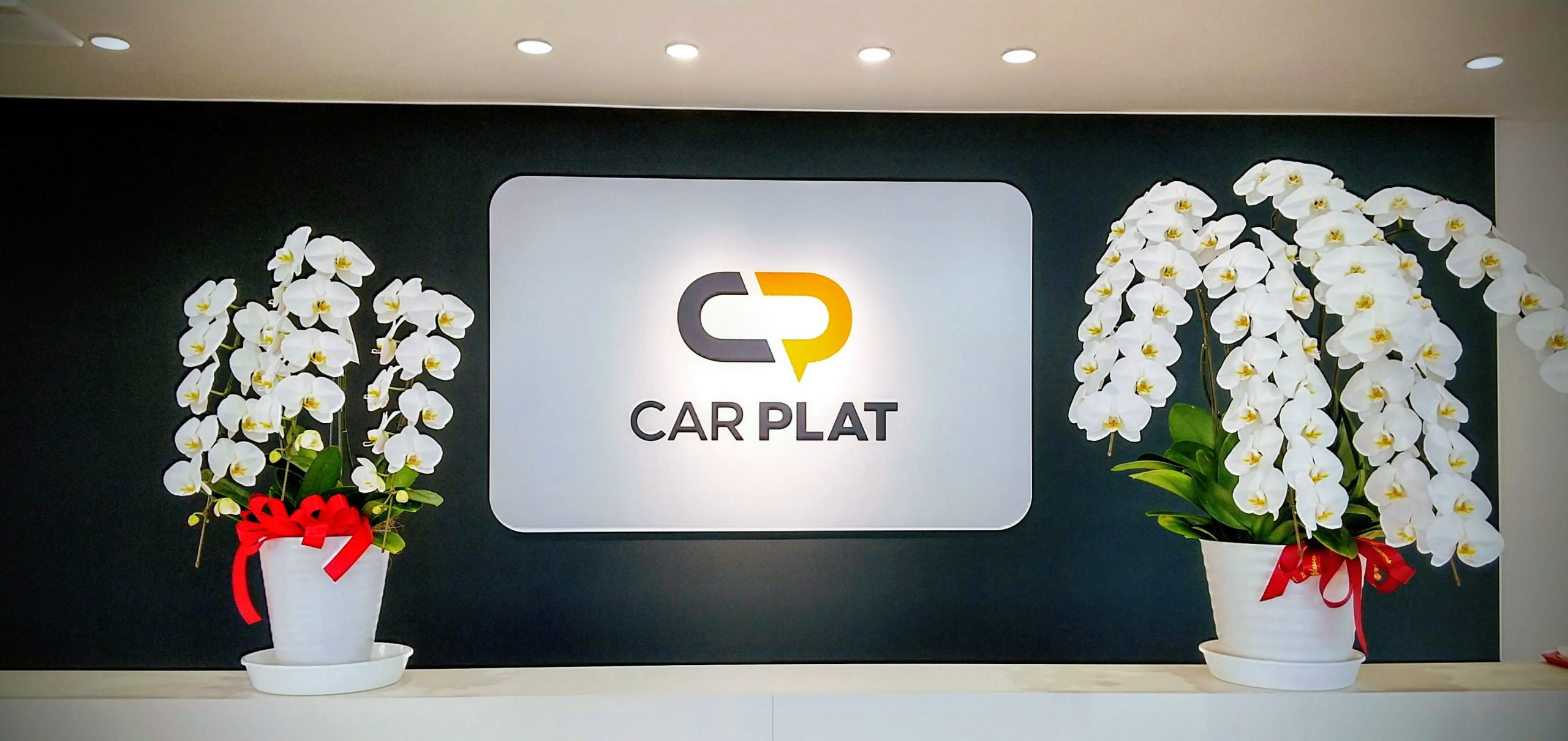 CAR PLATでゆっくり🚗みてってね♪