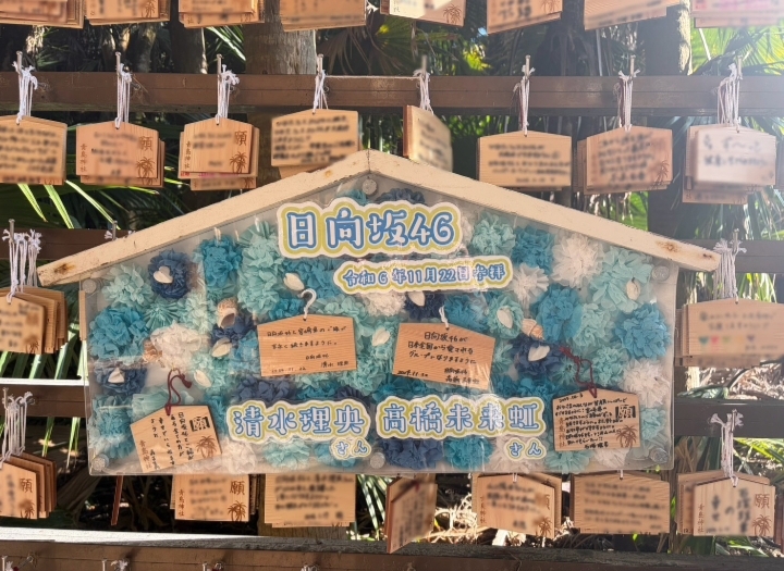 ～スタッフの休日～🌴青島編🏖️