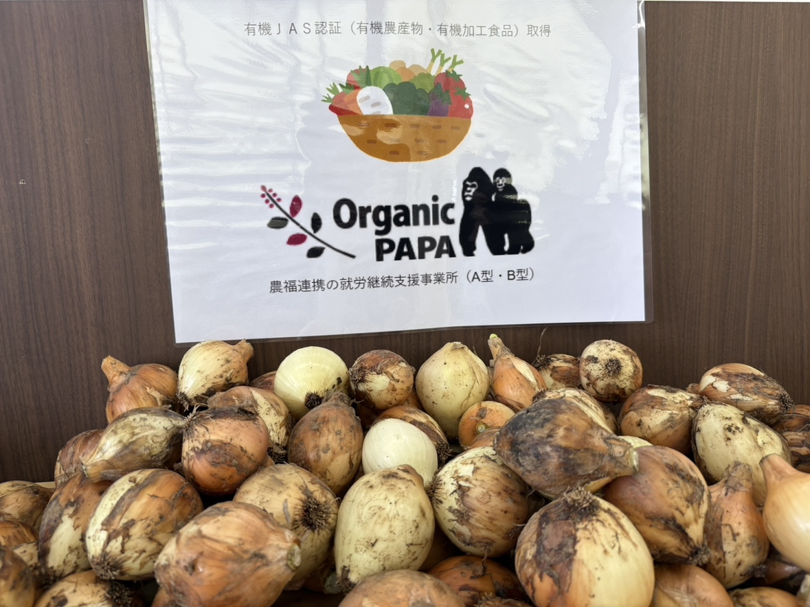 玉ねぎプレゼント🧅