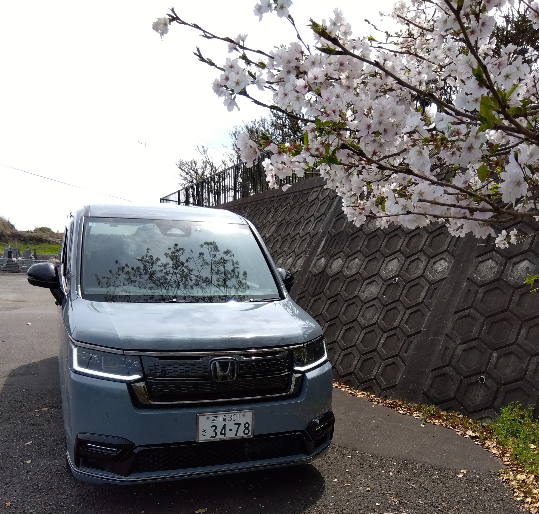 アウトドアパートナー😎