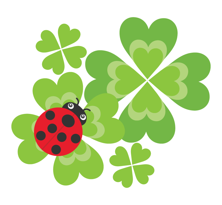 ⭐今週のおもてなし⭐