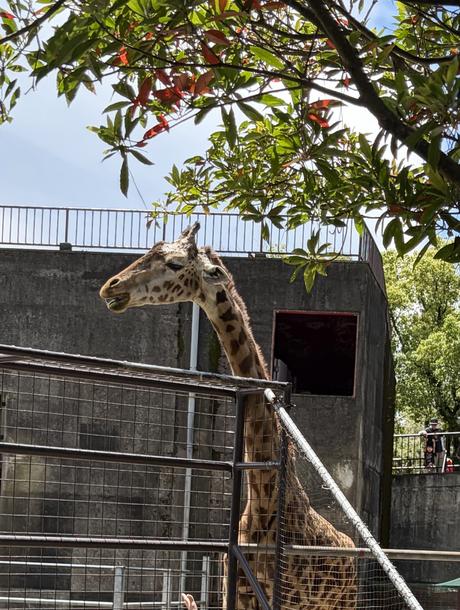 久しぶりの動物園へ！