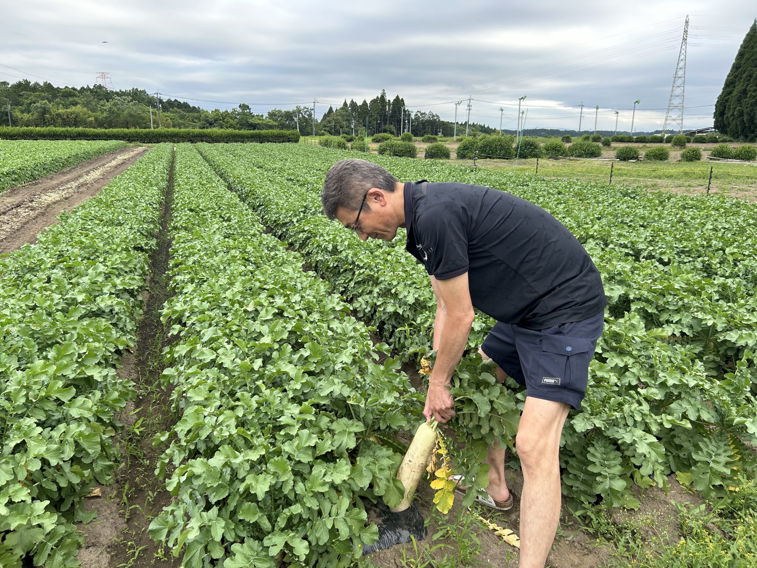 野菜、配ります！ | 【公式】 株式会社ホンダモビリティ九州