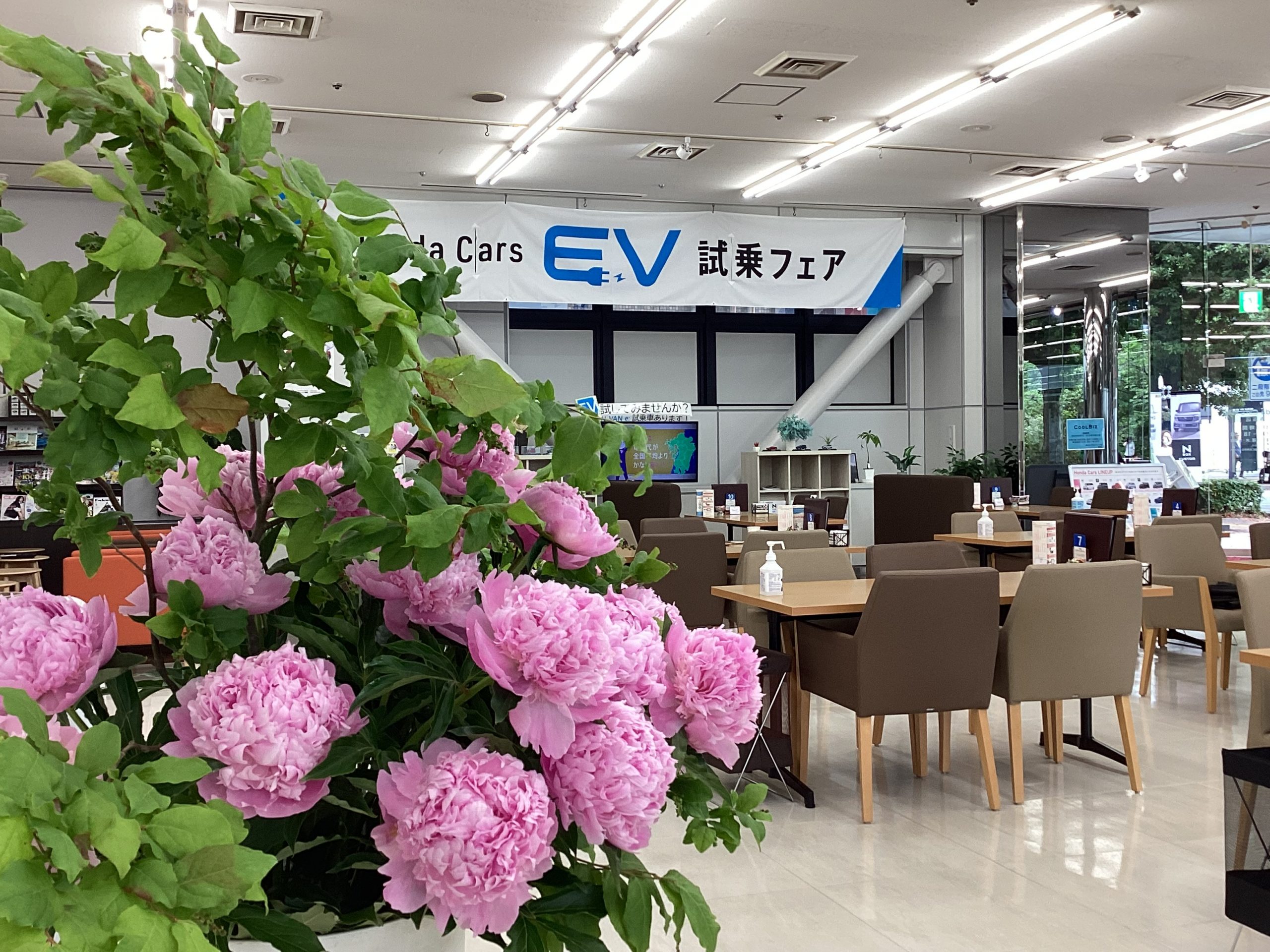 HONDA パルホルデー　綺麗　実動　ワンオーナー　福岡市南区 ☕️ 5月30日・31日のおもてなしお菓子 ☕️💕 | 【公式】 株式会社