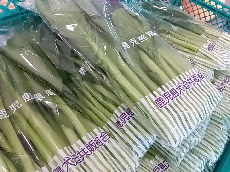 展示会 大好評開催中です😄✨