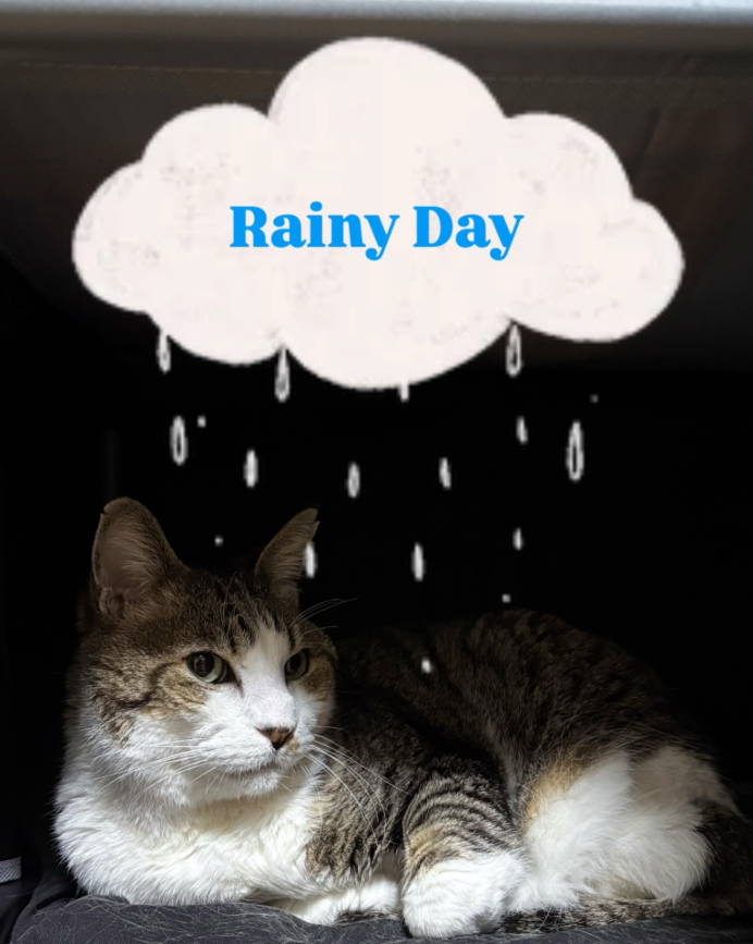 梅雨前にチェック！