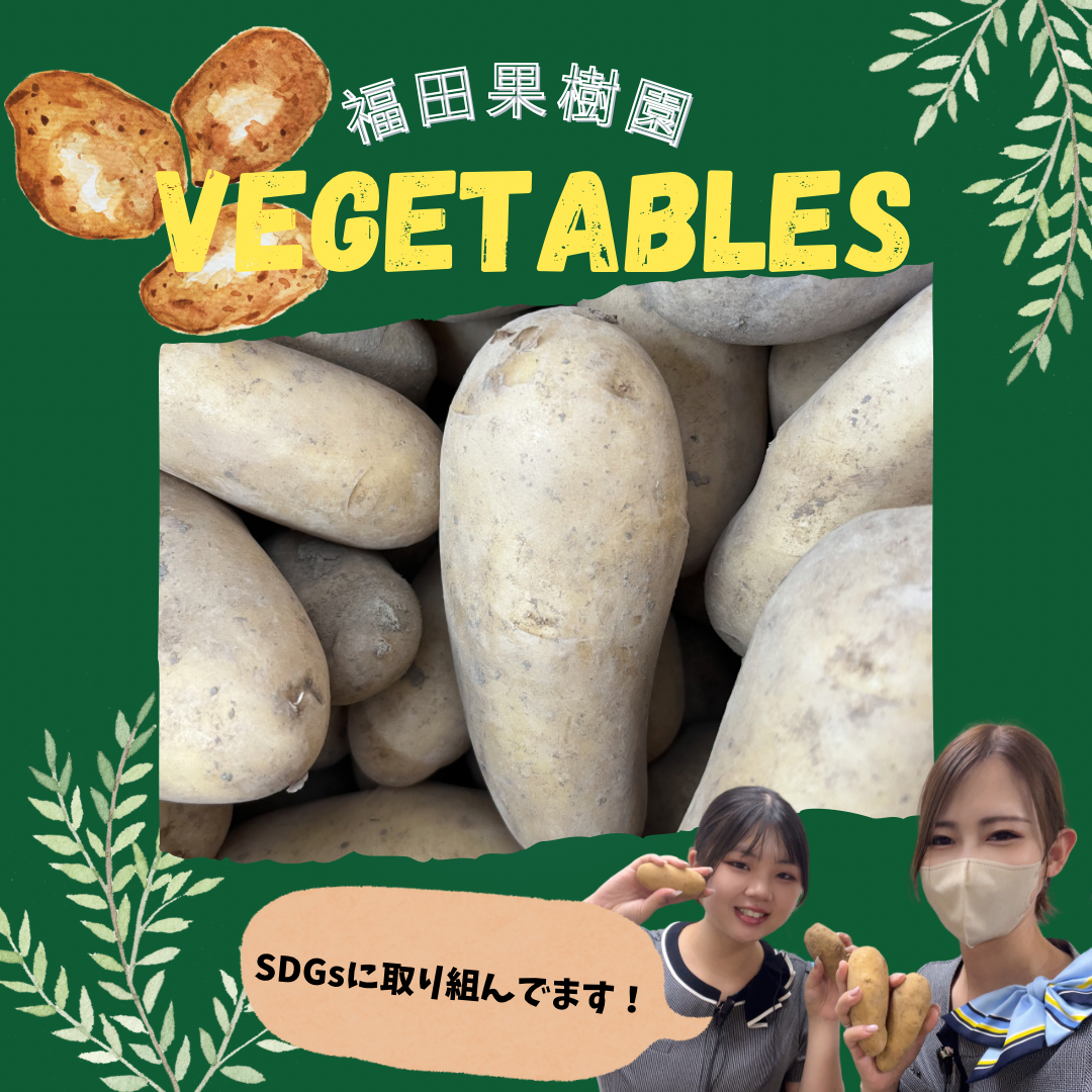じゃがいももらえます🥔7/11～7/12 | 【公式】 株式会社ホンダ