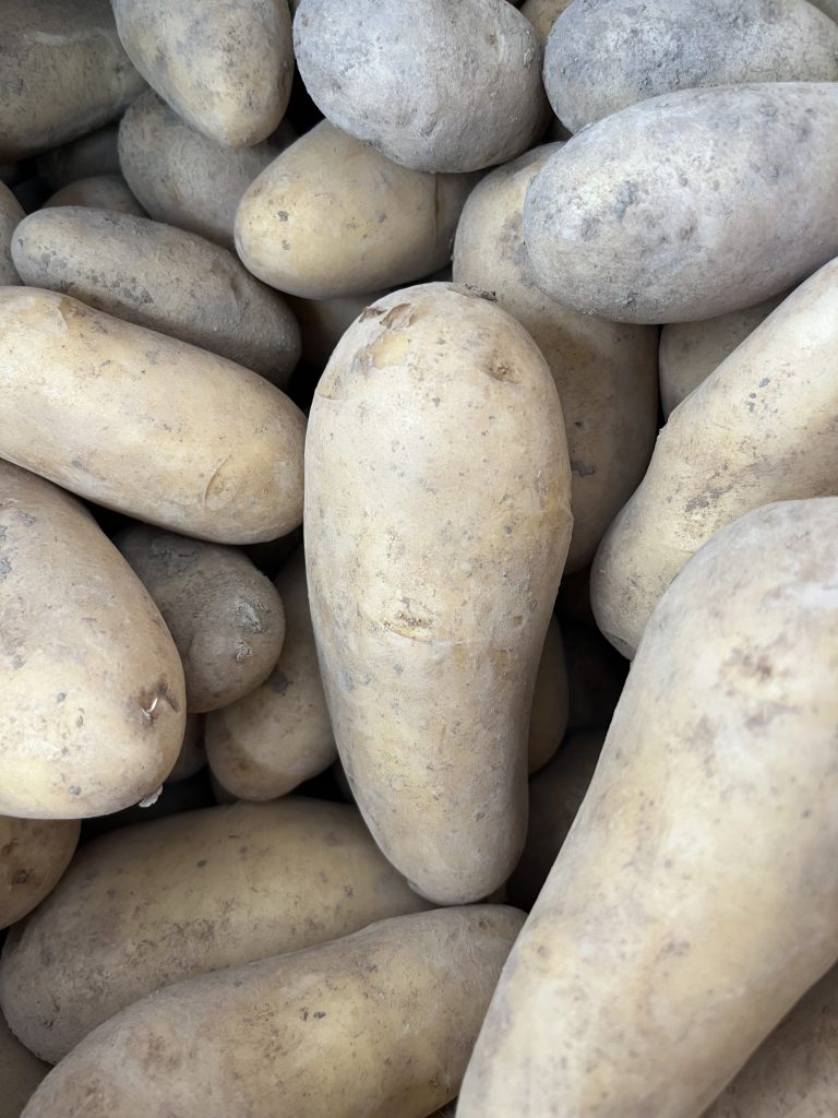 じゃがいももらえます🥔7/11～7/12 | 【公式】 株式会社ホンダ