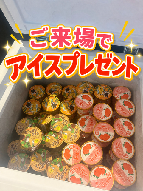 ご来場でアイスプレゼント🍦⭐