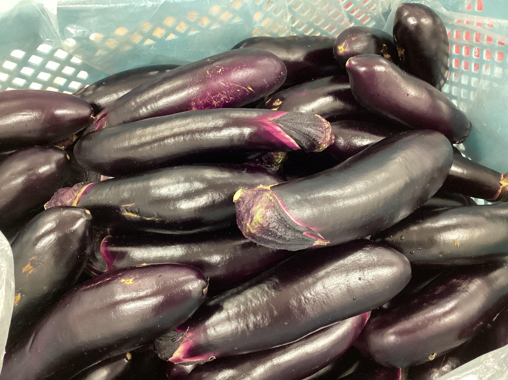 大好評につき今週も🍆