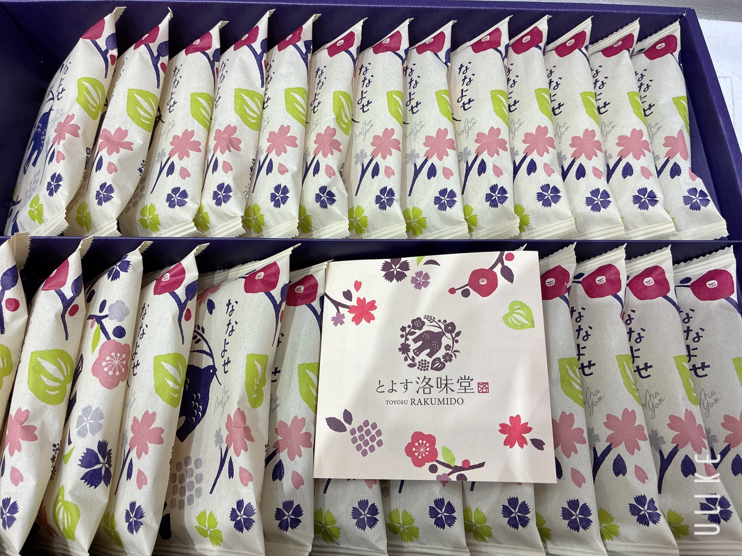 🌸今週のおもてなし🌸