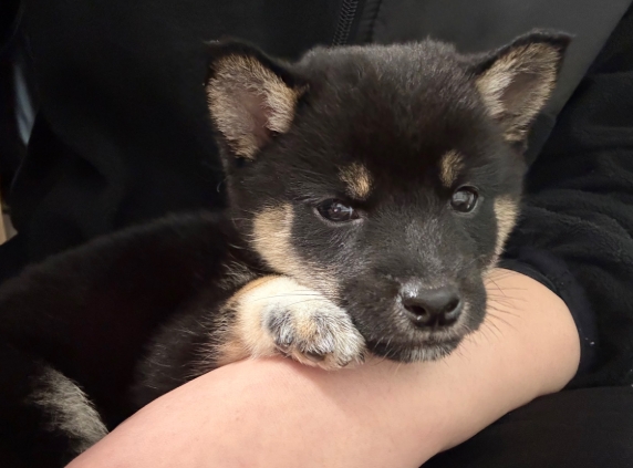 きゅるるーん✨🐾